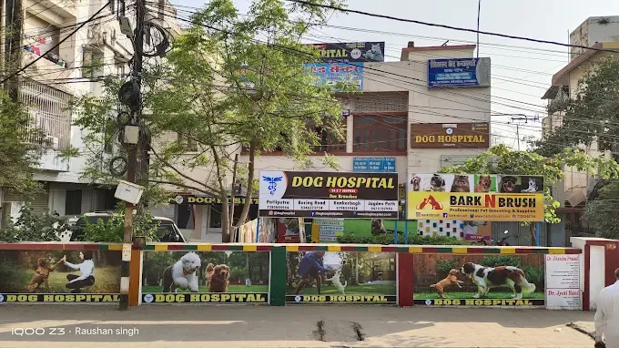 best pet shop in patna