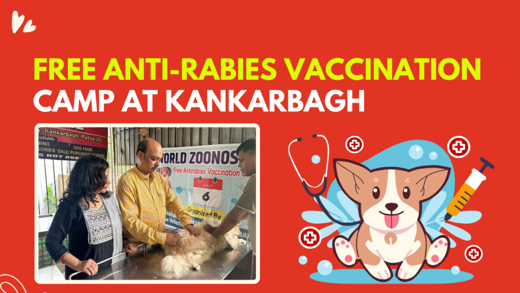 Free Anti-Rabies Vaccination Camp at Kankarbagh, Patna on 6th July (World Zoonosis Day)