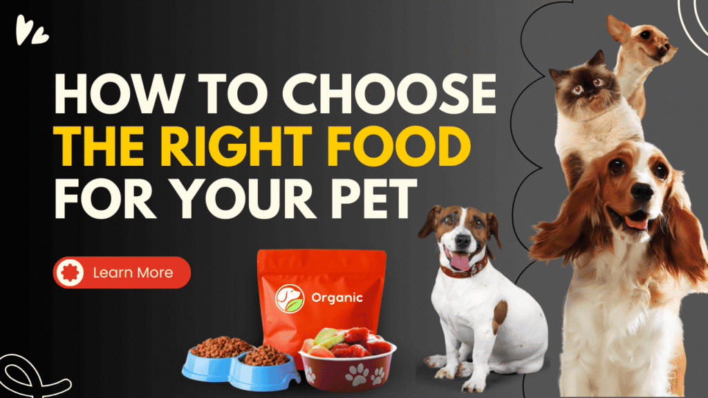 How to Choose the Right Food for Your Pet in 2025