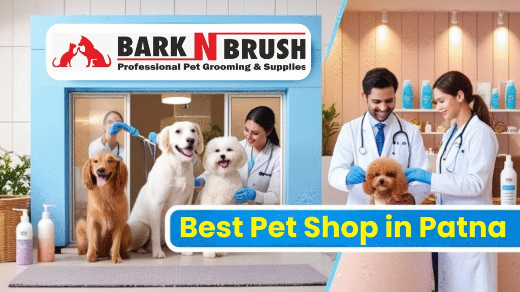 Best Pet Shop in Patna | Bark N Brush 24*7 Vet Care & Grooming