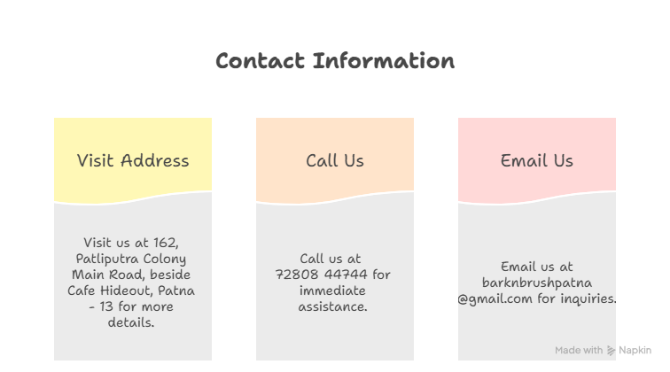 Best pet shop in Patna