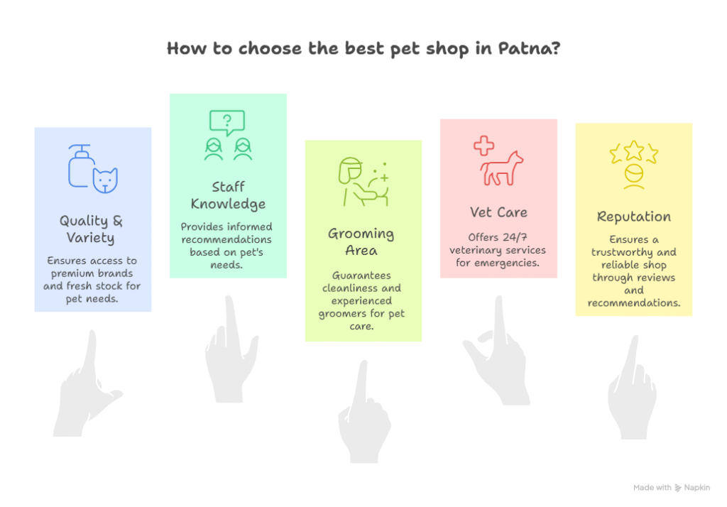 Top Pet Shop in Patna
