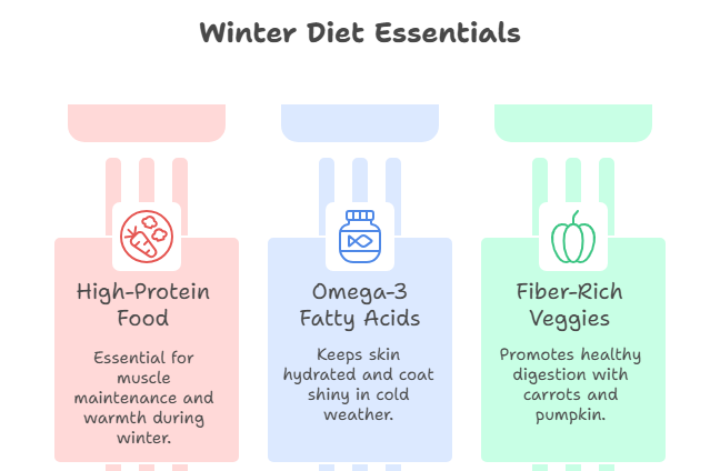 how to keep your pet healthy in winter