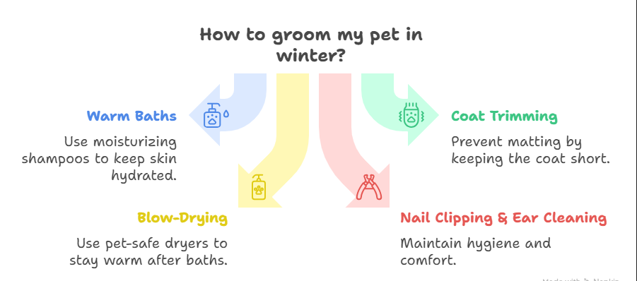 how to keep your pet healthy in winter