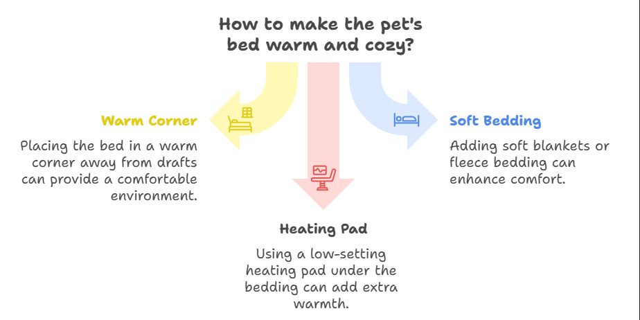 how to keep your pet healthy in winter